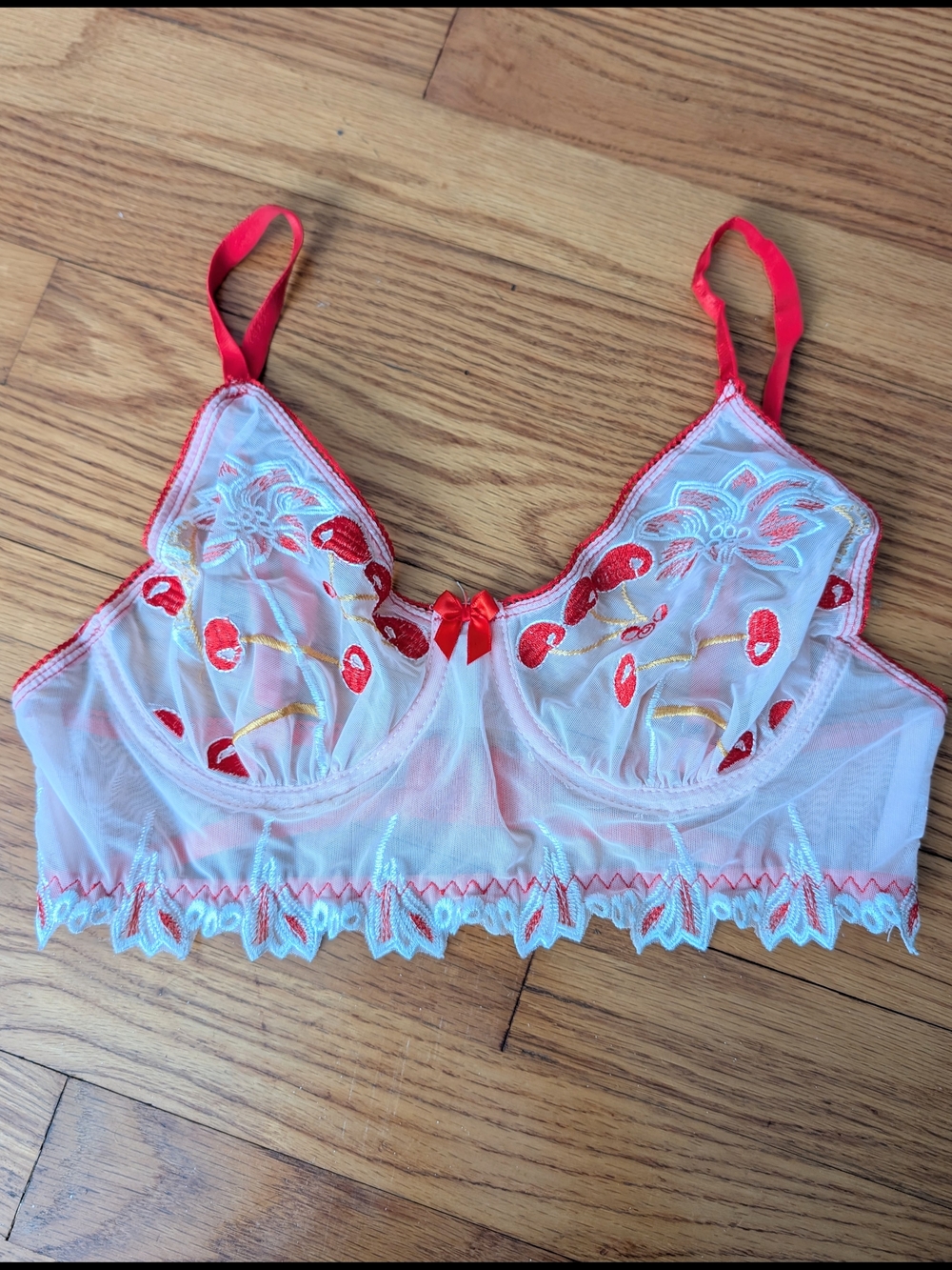 Sugar Thrillz White Sheer Longline Bralette with Red Cherry Embroidery